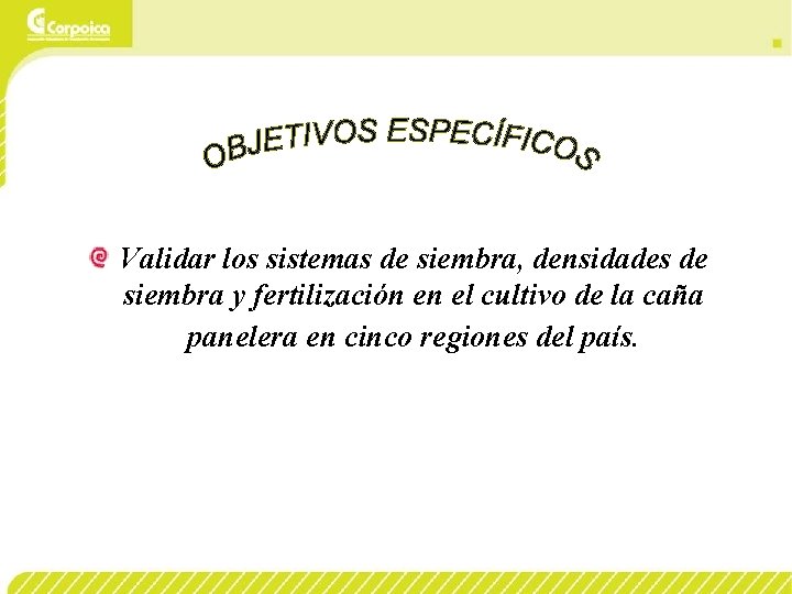 Validar los sistemas de siembra, densidades de siembra y fertilización en el cultivo de