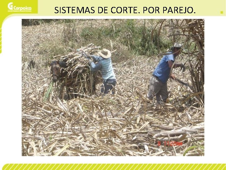 SISTEMAS DE CORTE. POR PAREJO. 