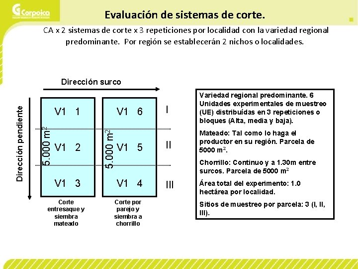 Evaluación de sistemas de corte. CA x 2 sistemas de corte x 3 repeticiones