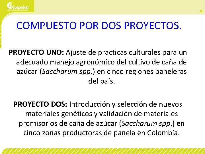 COMPUESTO POR DOS PROYECTOS. PROYECTO UNO: Ajuste de practicas culturales para un adecuado manejo