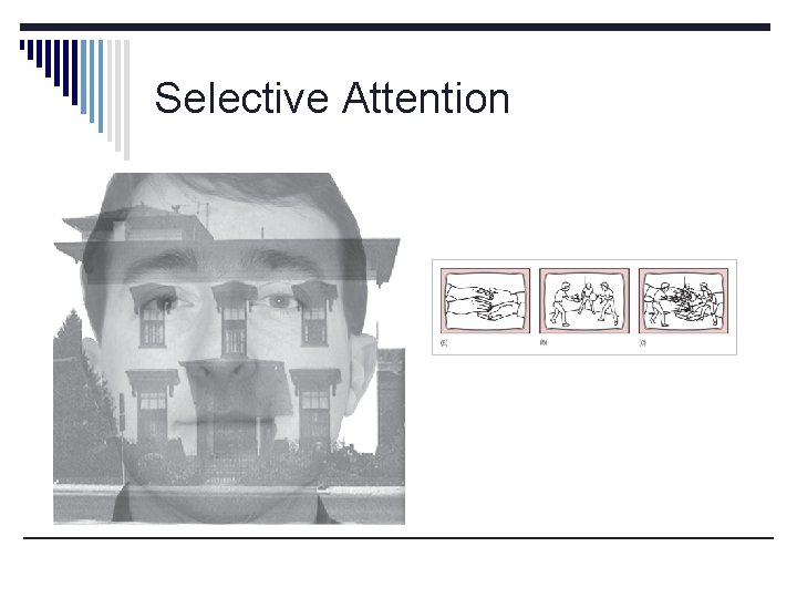 Selective Attention 