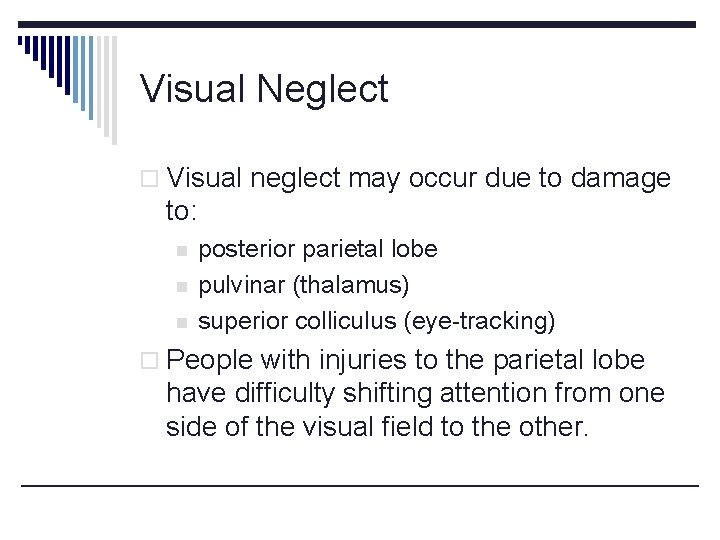 Visual Neglect o Visual neglect may occur due to damage to: n n n