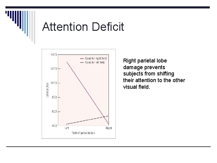 Attention Deficit Right parietal lobe damage prevents subjects from shifting their attention to the