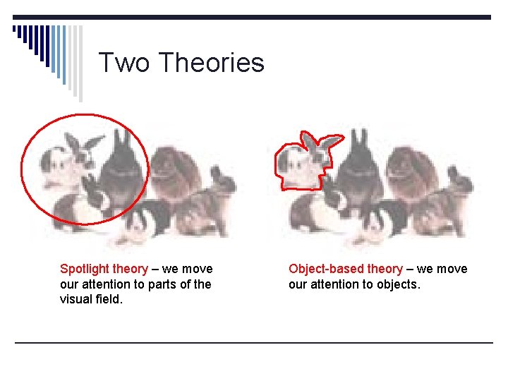 Two Theories Spotlight theory – we move our attention to parts of the visual