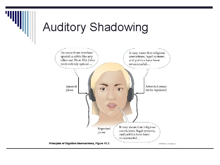 Auditory Shadowing 