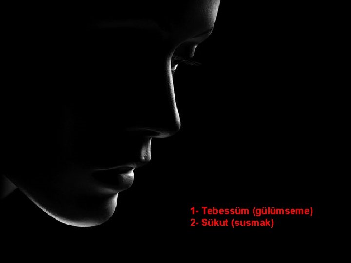 1 - Tebessüm (gülümseme) 2 - Sükut (susmak) 