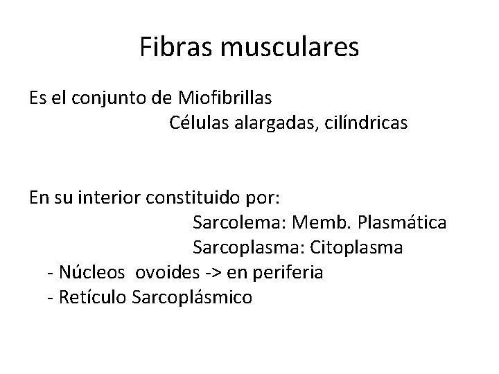 Fibras musculares Es el conjunto de Miofibrillas Células alargadas, cilíndricas En su interior constituido