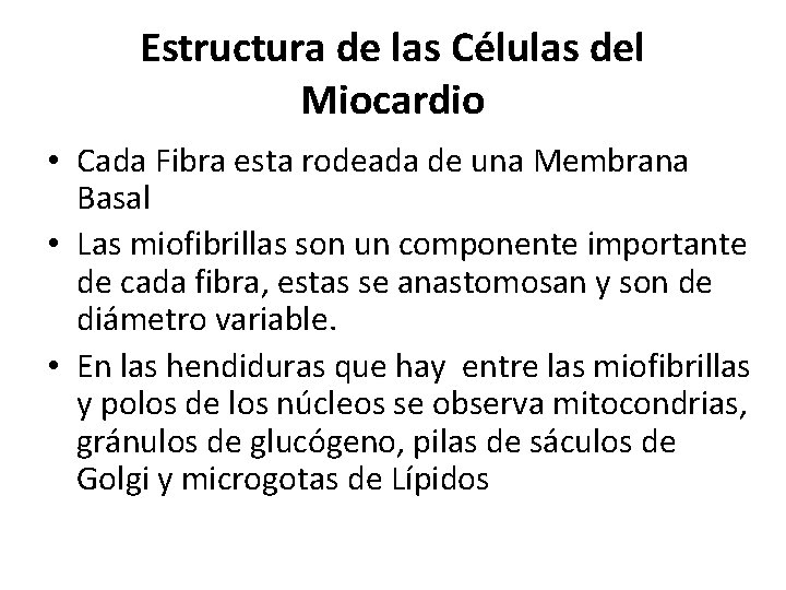 Estructura de las Células del Miocardio • Cada Fibra esta rodeada de una Membrana