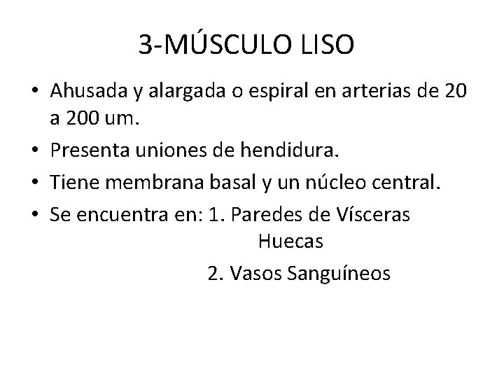 3 -MÚSCULO LISO • Ahusada y alargada o espiral en arterias de 20 a