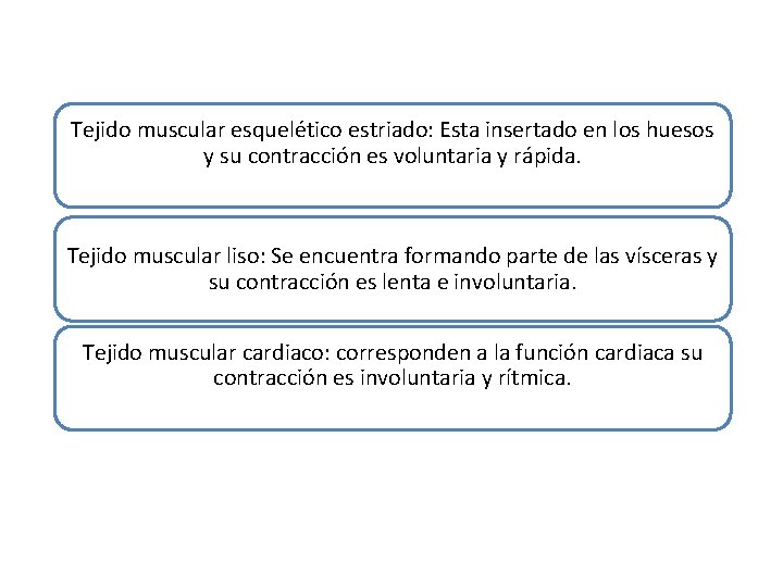 Tejido muscular esquelético estriado: Esta insertado en los huesos y su contracción es voluntaria
