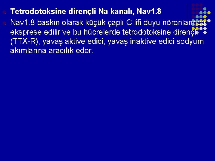 l l Tetrodotoksine dirençli Na kanalı, Nav 1. 8 baskın olarak küçük çaplı C l l Tetrodotoksine dirençli Na kanalı, Nav 1. 8 baskın olarak küçük çaplı C