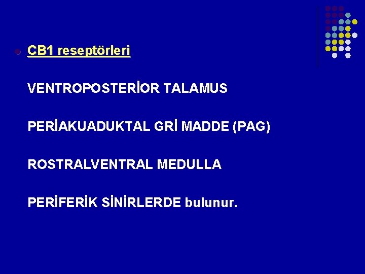 l CB 1 reseptörleri VENTROPOSTERİOR TALAMUS PERİAKUADUKTAL GRİ MADDE (PAG) ROSTRALVENTRAL MEDULLA PERİFERİK l CB 1 reseptörleri VENTROPOSTERİOR TALAMUS PERİAKUADUKTAL GRİ MADDE (PAG) ROSTRALVENTRAL MEDULLA PERİFERİK