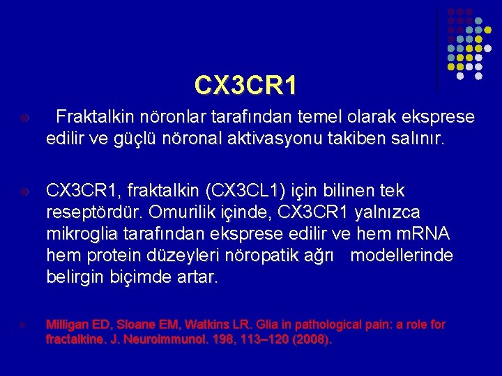 CX 3 CR 1 l Fraktalkin nöronlar tarafından temel olarak eksprese edilir ve güçlü CX 3 CR 1 l Fraktalkin nöronlar tarafından temel olarak eksprese edilir ve güçlü
