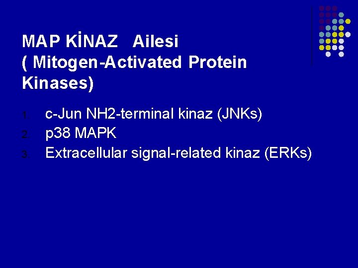 MAP KİNAZ Ailesi ( Mitogen-Activated Protein Kinases) 1. 2. 3. c-Jun NH 2 -terminal MAP KİNAZ Ailesi ( Mitogen-Activated Protein Kinases) 1. 2. 3. c-Jun NH 2 -terminal