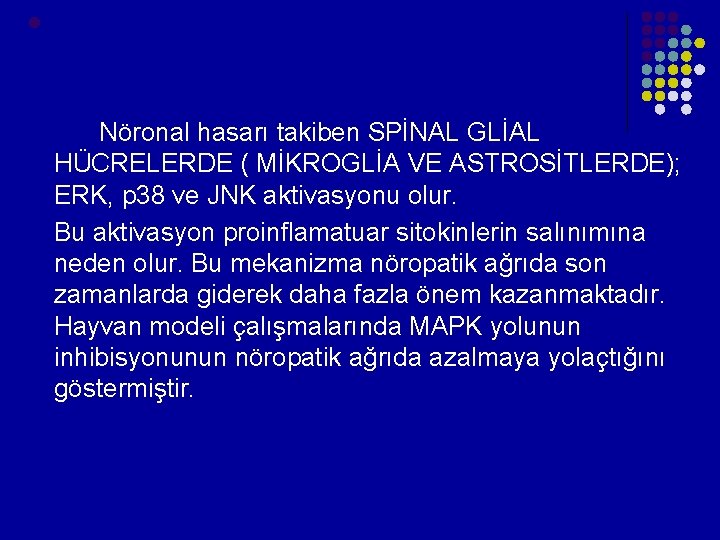 l Nöronal hasarı takiben SPİNAL GLİAL HÜCRELERDE ( MİKROGLİA VE ASTROSİTLERDE); ERK, p 38 l Nöronal hasarı takiben SPİNAL GLİAL HÜCRELERDE ( MİKROGLİA VE ASTROSİTLERDE); ERK, p 38