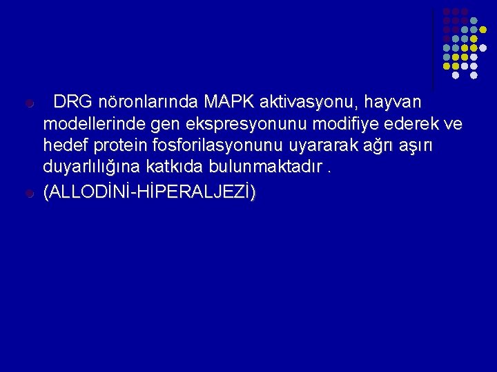 l l DRG nöronlarında MAPK aktivasyonu, hayvan modellerinde gen ekspresyonunu modifiye ederek ve hedef l l DRG nöronlarında MAPK aktivasyonu, hayvan modellerinde gen ekspresyonunu modifiye ederek ve hedef
