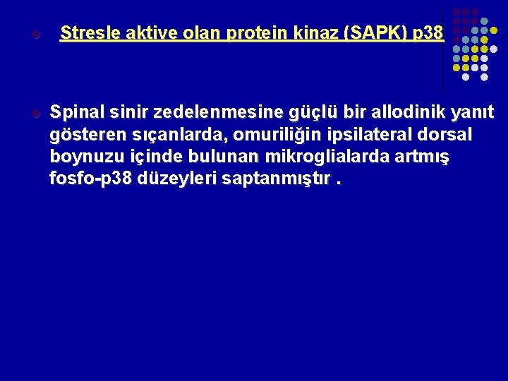 Stresle aktive olan protein kinaz (SAPK) p 38 l l Spinal sinir zedelenmesine güçlü Stresle aktive olan protein kinaz (SAPK) p 38 l l Spinal sinir zedelenmesine güçlü
