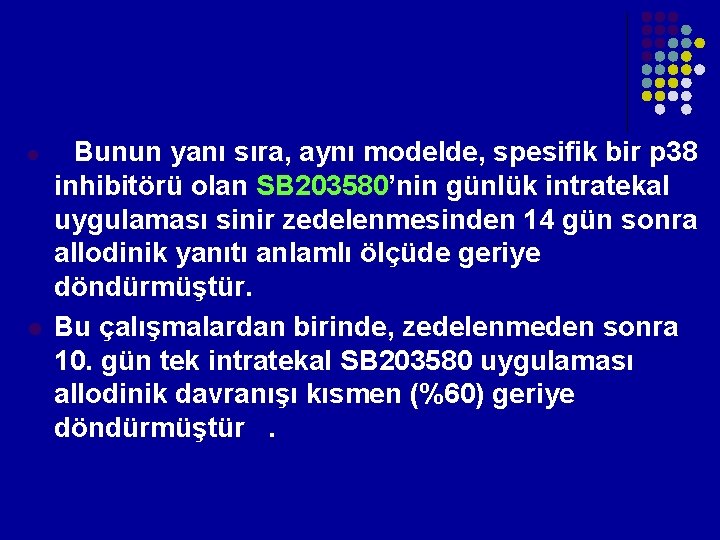 l l Bunun yanı sıra, aynı modelde, spesifik bir p 38 inhibitörü olan SB l l Bunun yanı sıra, aynı modelde, spesifik bir p 38 inhibitörü olan SB