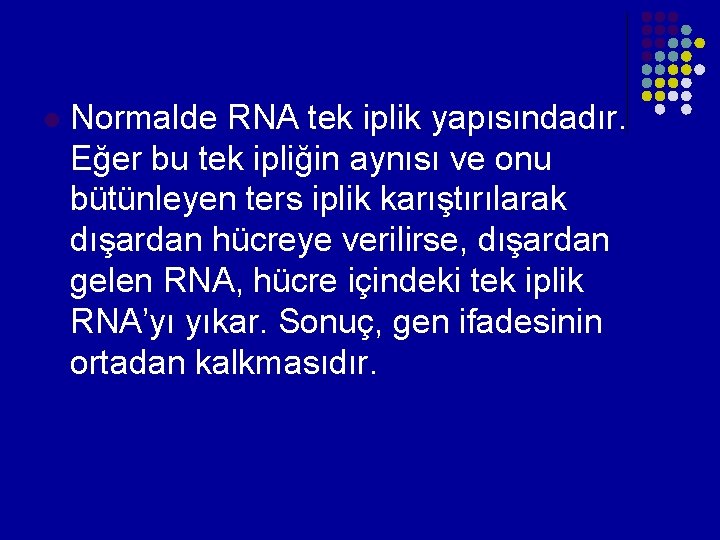 l Normalde RNA tek iplik yapısındadır. Eğer bu tek ipliğin aynısı ve onu bütünleyen l Normalde RNA tek iplik yapısındadır. Eğer bu tek ipliğin aynısı ve onu bütünleyen