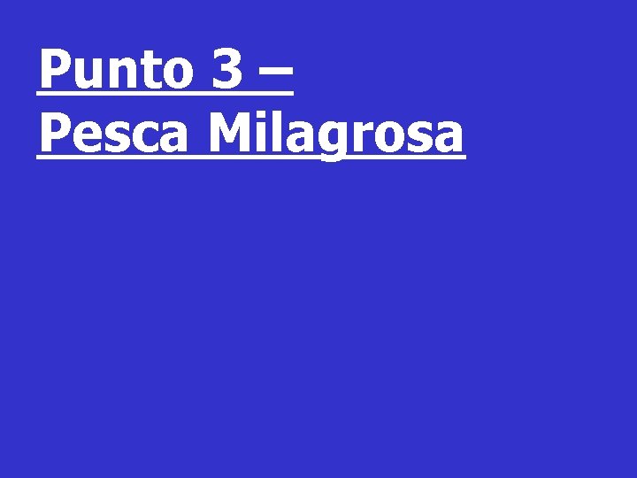 Punto 3 – Pesca Milagrosa 