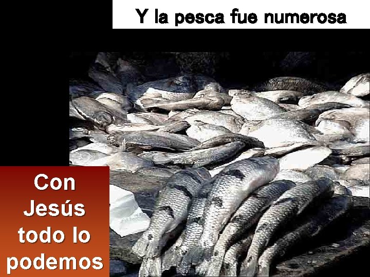 Y la pesca fue numerosa Con Jesús todo lo podemos 