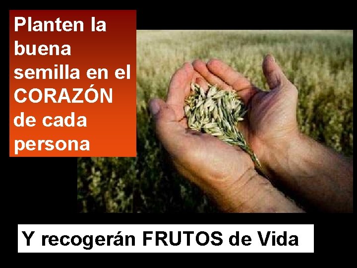 Planten la buena semilla en el CORAZÓN de cada persona Y recogerán FRUTOS de