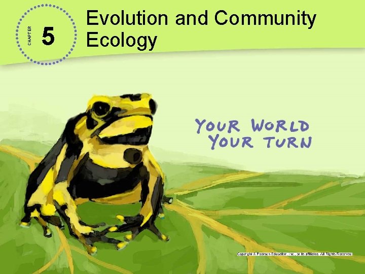 CHAPTER 5 Evolution and Community Ecology 