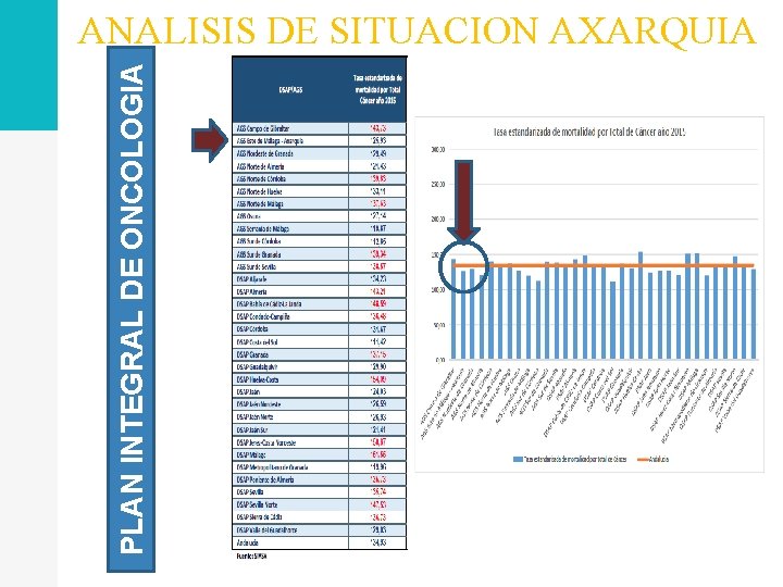 PLAN INTEGRAL DE ONCOLOGIA ANALISIS DE SITUACION AXARQUIA 