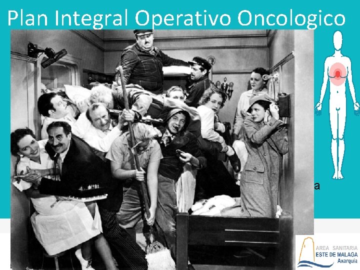 Plan Integral Operativo Oncologico Propuesta de Mejora 7: PNT PROCEDIMIENTOS NORMALIZADOS DE TRABAJO cuales