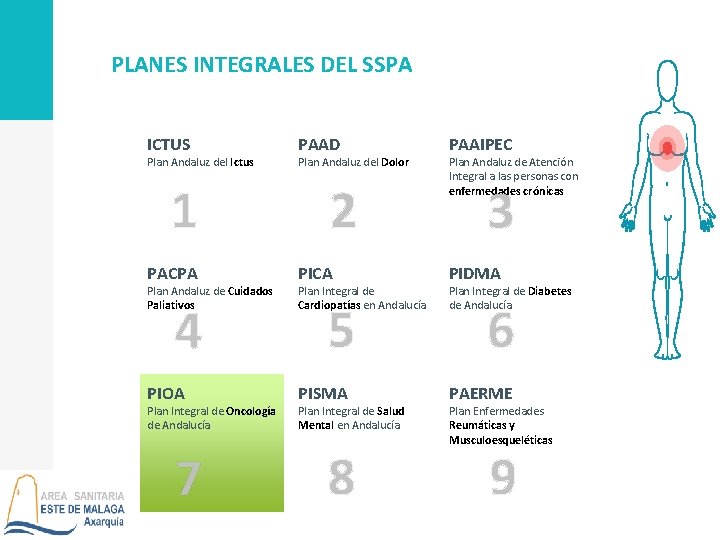 PLANES INTEGRALES DEL SSPA ICTUS Plan Andaluz del Ictus 1 PACPA Plan Andaluz de