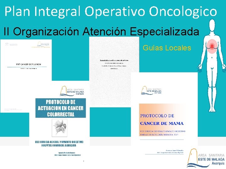 Plan Integral Operativo Oncologico II Organización Atención Especializada Guías Locales 