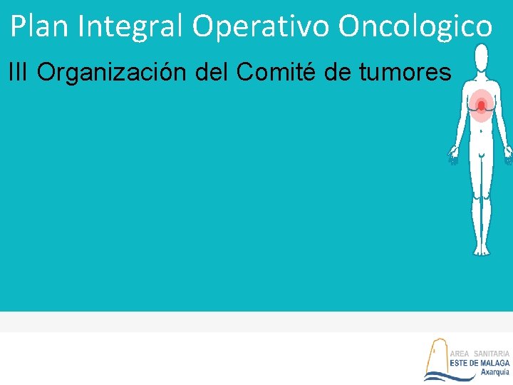 Plan Integral Operativo Oncologico III Organización del Comité de tumores 