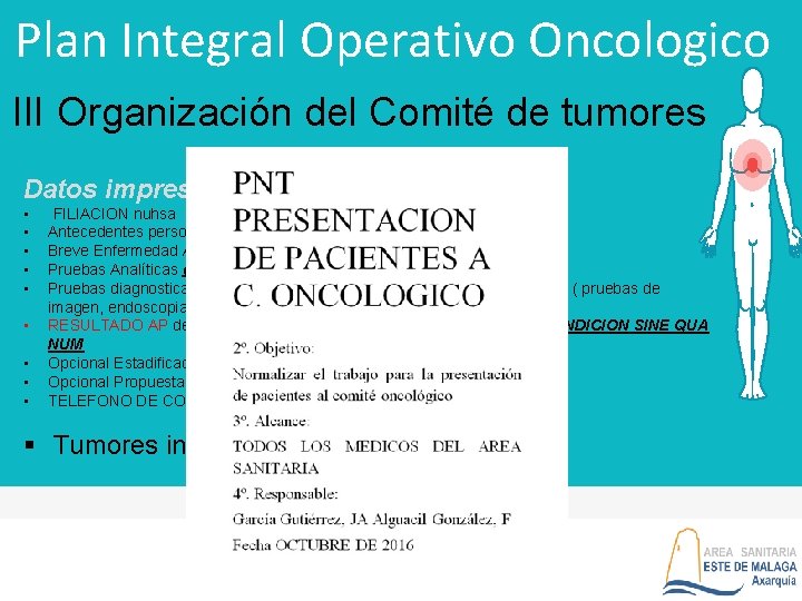 Plan Integral Operativo Oncologico III Organización del Comité de tumores Datos imprescindibles • •