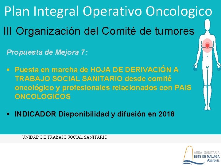 Plan Integral Operativo Oncologico III Organización del Comité de tumores Propuesta de Mejora 7: