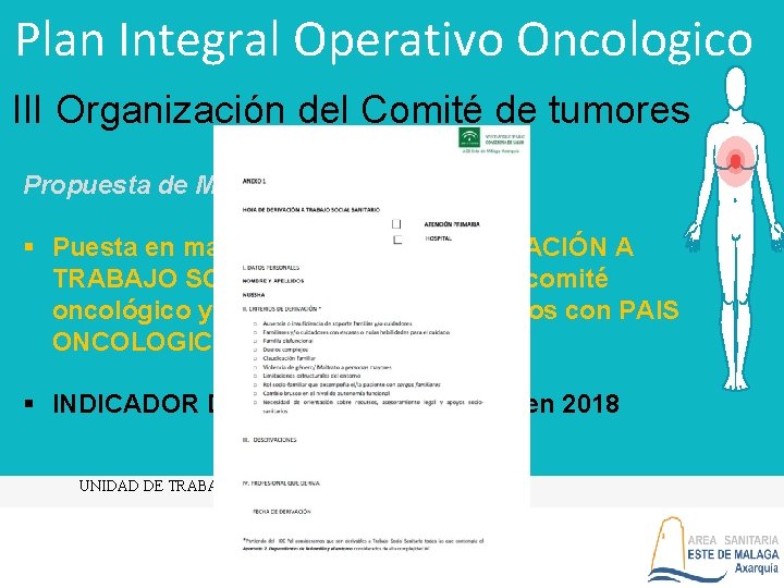 Plan Integral Operativo Oncologico III Organización del Comité de tumores Propuesta de Mejora 7: