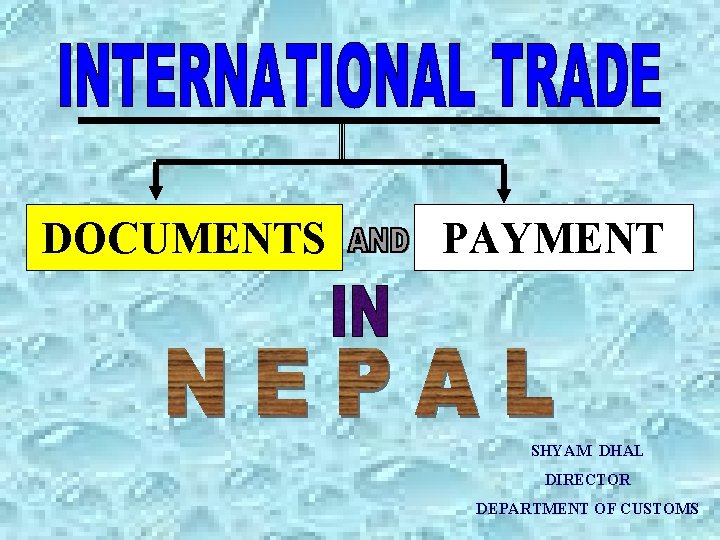 DOCUMENTS PAYMENT SHYAM DHAL DIRECTOR DEPARTMENT OF CUSTOMS DOCUMENTS PAYMENT SHYAM DHAL DIRECTOR DEPARTMENT OF CUSTOMS