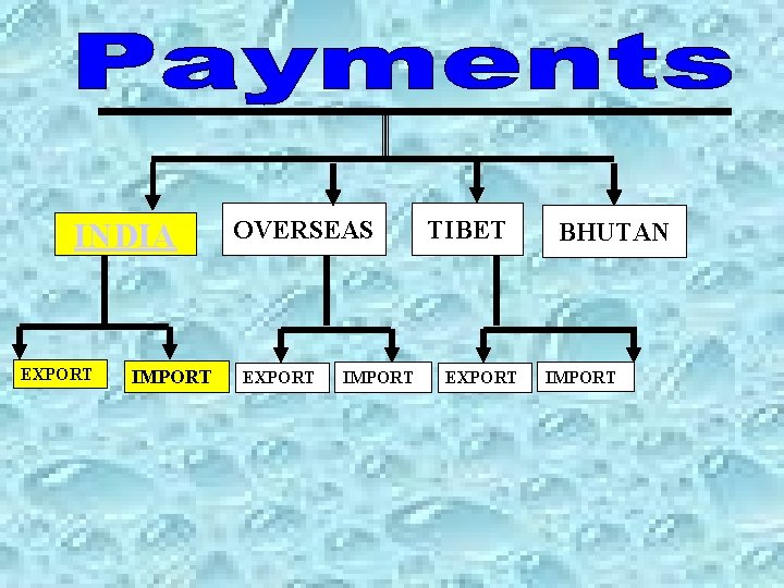 INDIA EXPORT IMPORT OVERSEAS EXPORT IMPORT TIBET EXPORT BHUTAN IMPORT INDIA EXPORT IMPORT OVERSEAS EXPORT IMPORT TIBET EXPORT BHUTAN IMPORT