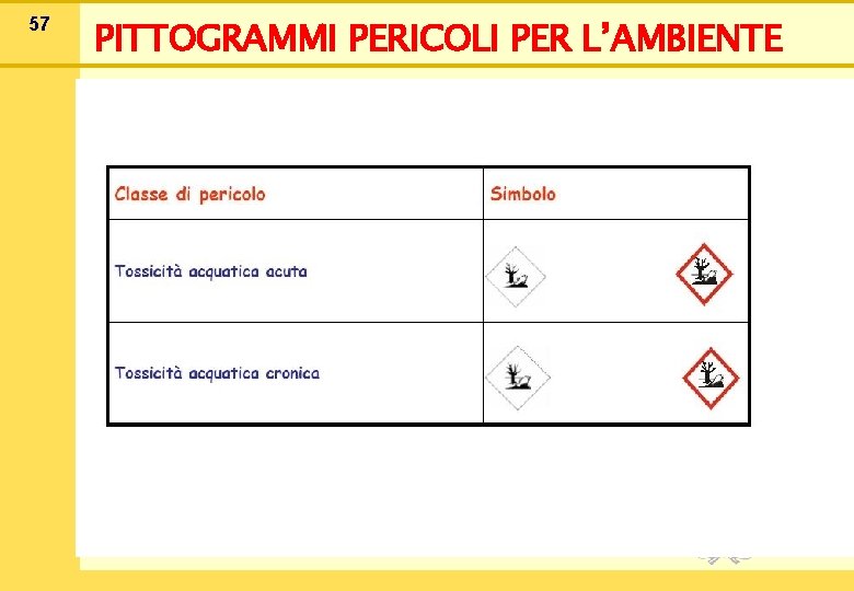 57 PITTOGRAMMI PERICOLI PER L’AMBIENTE 