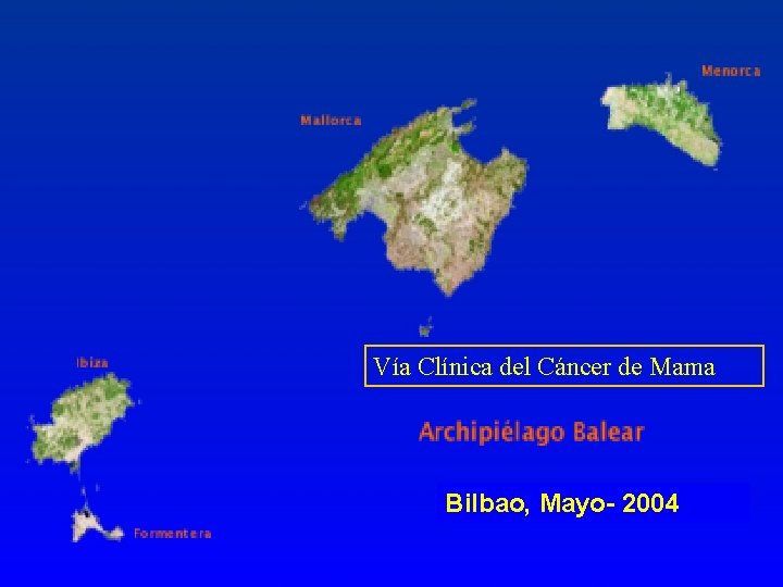 Vía Clínica del Cáncer de Mama Bilbao, Mayo- 2004 