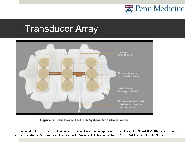 Transducer Array Lacouture ME et al. Characterization and management of dermatologic adverse events with