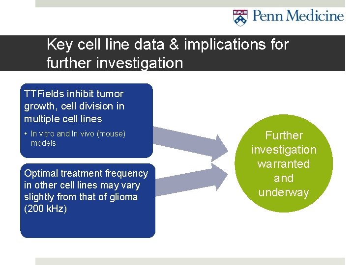 Key cell line data & implications for further investigation TTFields inhibit tumor growth, cell