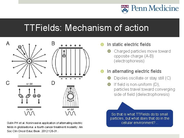 TTFields: Mechanism of action In static electric fields Charged particles move toward opposite charge