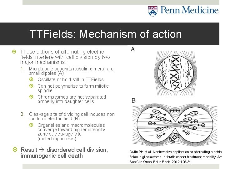 TTFields: Mechanism of action These actions of alternating electric fields interfere with cell division