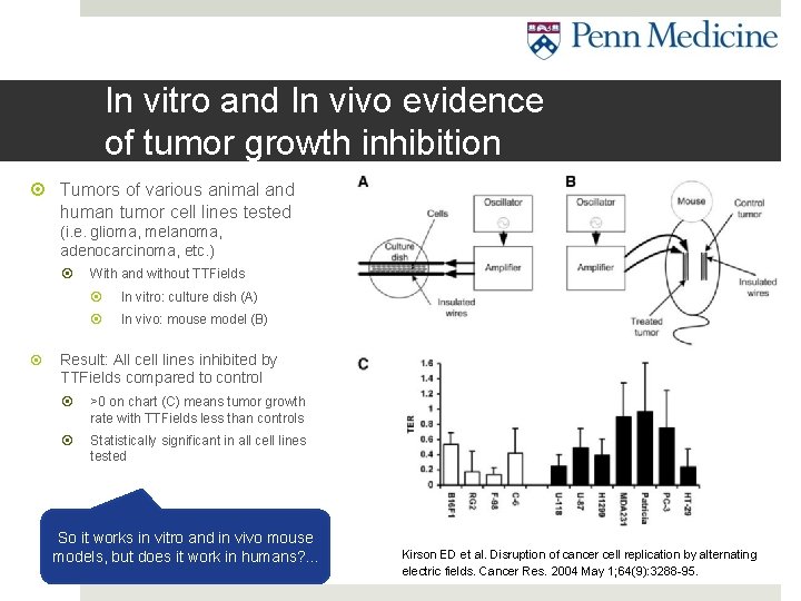 In vitro and In vivo evidence of tumor growth inhibition Tumors of various animal