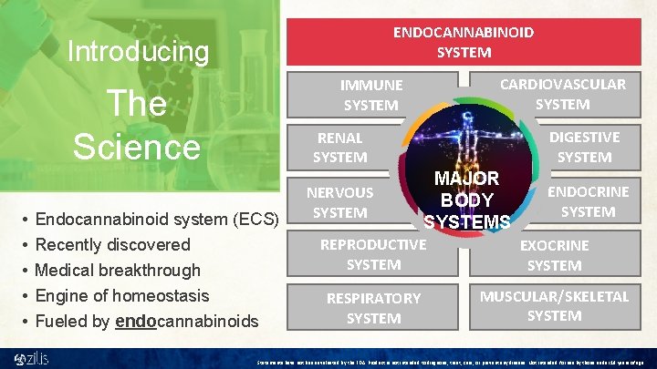 ENDOCANNABINOID SYSTEM Introducing The Science • • • CARDIOVASCULAR SYSTEM IMMUNE SYSTEM DIGESTIVE SYSTEM