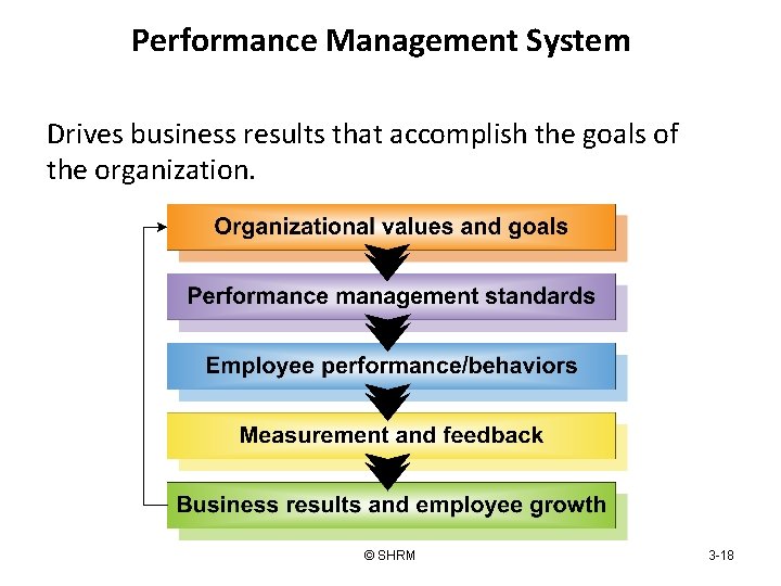 Performance Management System Drives business results that accomplish the goals of the organization. ©