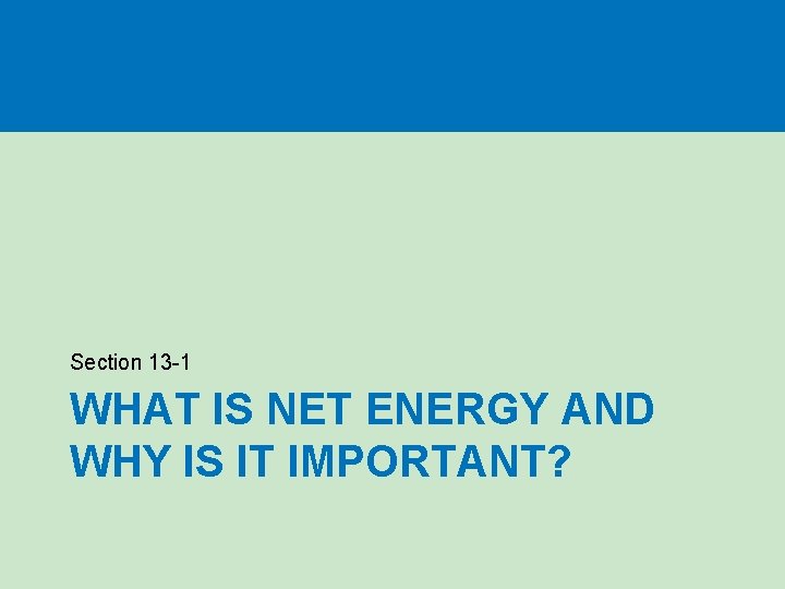Section 13 -1 WHAT IS NET ENERGY AND WHY IS IT IMPORTANT? Section 13 -1 WHAT IS NET ENERGY AND WHY IS IT IMPORTANT?
