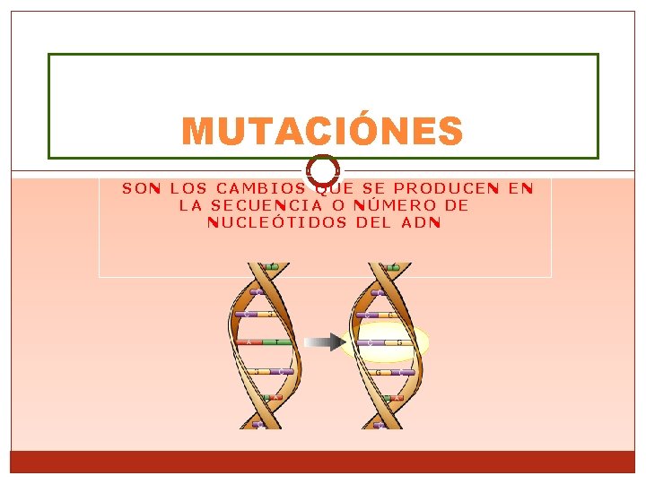 MUTACIÓNES SON LOS CAMBIOS QUE SE PRODUCEN EN LA SECUENCIA O NÚMERO DE NUCLEÓTIDOS
