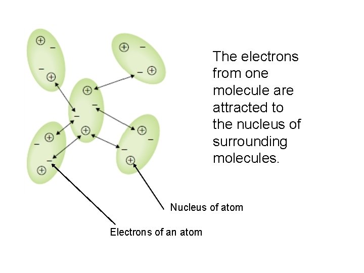 The electrons from one molecule are attracted to the nucleus of surrounding molecules. Nucleus
