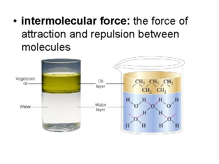  • intermolecular force: the force of attraction and repulsion between molecules 